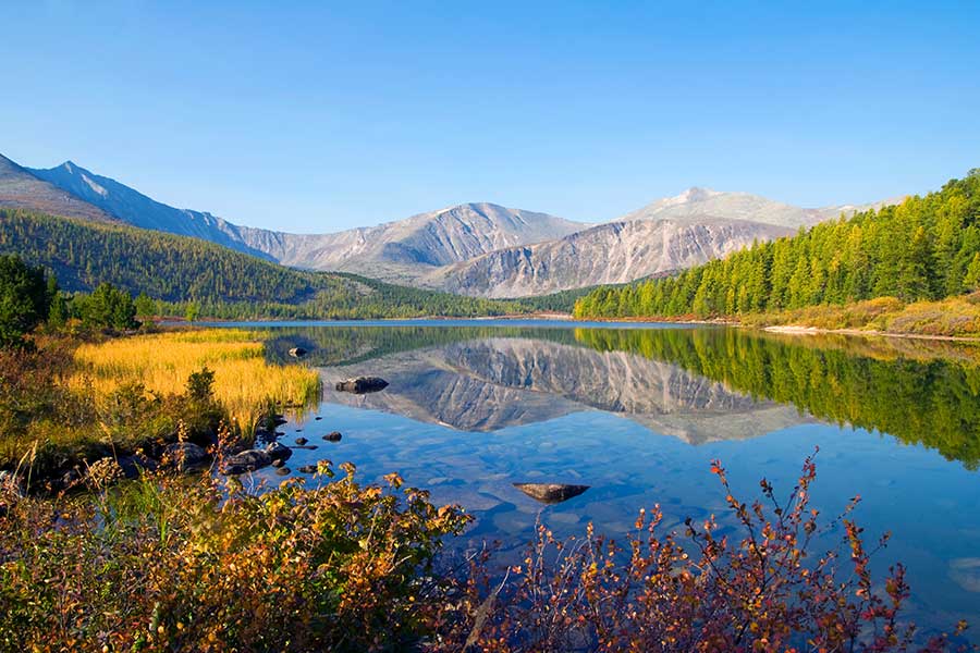 Repenser l’image de Blackberry grâce à une campagne de communication